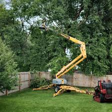 How Our Tree Care Process Works  in  Winnfield, LA