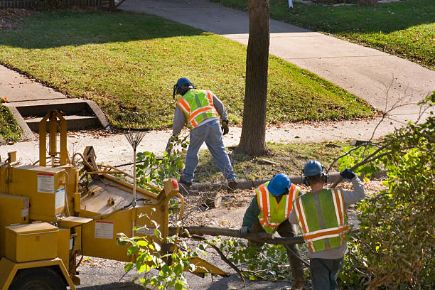 Seasonal Cleanup (Spring/Fall) in Winnfield, LA