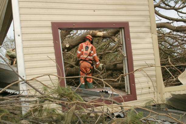 Best Seasonal Cleanup (Spring/Fall)  in Winnfield, LA